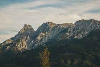 Admonter Reichensteingruppe in sunlight, Weng im Gesäuse, Styria, Austria