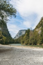 Riverbed of the Enns between trees and rock faces, Gesäuse, Styria, Austria