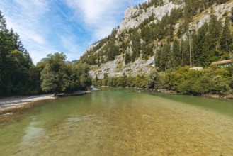 Enns with clear water and lush woodland, Gesäuse, Styria, Austria