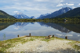 Panoramic lake reflects the surrounding mountains and the slightly cloudy sky, Admont, Styria,