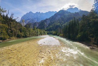 Enns with gravel bank surrounded by wooded banks, Reichenstein group in the background, Gesäuse,