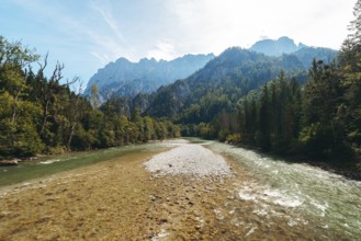 Enns with gravel bank surrounded by wooded banks, Reichenstein group in the background, Gesäuse,