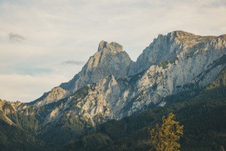 Admonter Reichenstein and Sparafeld in the sunlight, Weng im Gesäuse, Styria, Austria