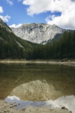 Meßnerin reflected in the Green Lake surrounded by forest under a blue sky, Tragöß, Styria, Austria