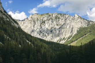 Meßnerin with steep rock faces surrounded by dense forest, Tragöß, Styria, Austria