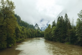 Enns after heavy rainfall surrounded by dense forests and fog-covered mountains, Gesäuse, Styria,