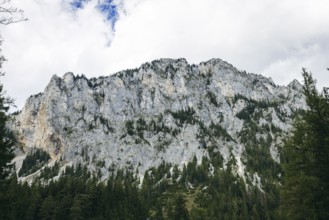 Rock face, Pribitz, Tragöß, Styria, Austria
