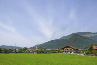 Meadow with houses, Oberwössen, Chiemgau, Upper Bavaria, Bavaria, Germany
