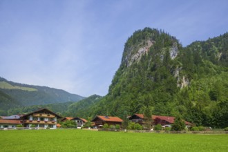 Mountain, meadow with houses, Oberwössen, Chiemgau, Upper Bavaria, Bavaria, Germany