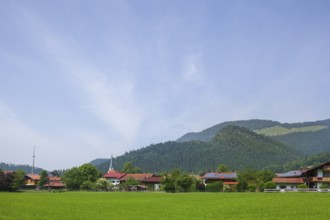 Meadow with houses, Oberwössen, Chiemgau, Upper Bavaria, Bavaria, Germany