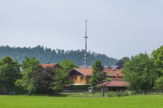 Meadow with houses, Oberwössen, Chiemgau, Upper Bavaria, Bavaria, Germany