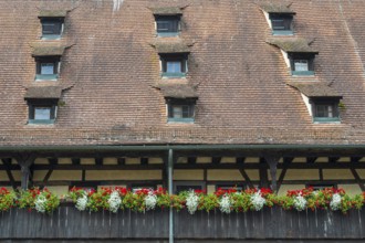 Flowers on the arcades, roof with dormer windows, Old Court, inner courtyard, UNESCO World Heritage