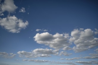 Cluster clouds (cumulus), Bavaria, Germany