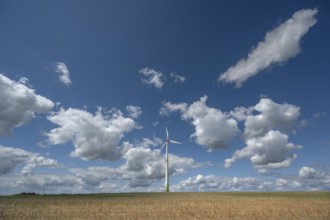 Wind turbine in open landscape, Karsberg, Upper Franconia, Bavaria, Germany
