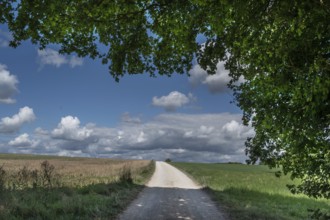 Field path and cloudy sky, Upper Franconia, Bavaria, Germany