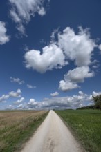 Field path and cloudy sky, Upper Franconia, Bavaria, Germany