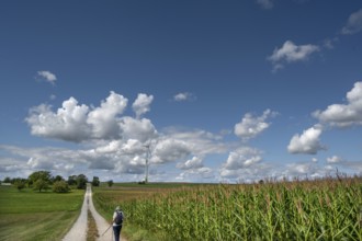 Hiker on a country lane in Franconian landscape, a windmill behind, cloudy sky, Karsberg, Upper