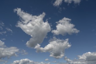 Cluster clouds (cumulus), Bavaria, Germany