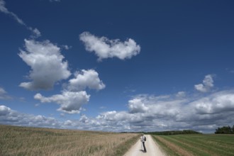 Hiker on a field path in Franconian landscape, cloudy sky, Karsberg, Upper Franconia, Bavaria,