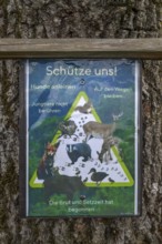 Protecting animals, a poster on a bBum at the edge of a forest, Franconia, Bavaria, Germany