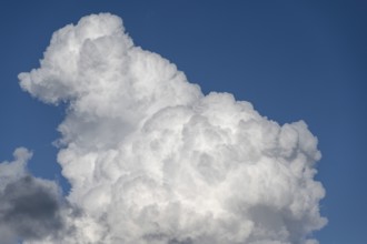 Cluster clouds (cumulus), rain clouds on the left Bavaria, Germany