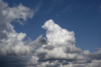 Cluster clouds (cumulus), rain clouds (nimbostratus) on the left, Bavaria, Germany