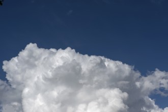 Cluster clouds (cumulus), Bavaria, Germany