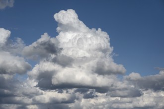 Cluster clouds (cumulus), Bavaria, Germany