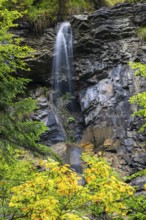 Small waterfall within the Breitachklamm gorge, beech (Fagus), beech family (Fagaceae),