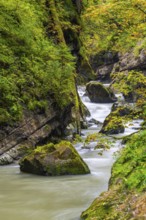 Breitach flows through a narrow gorge with stones, stream, Schrattenkalk, Breitachklamm,