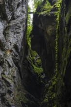 Small bridge leads over the gorge, hiking trail, Breitachklamm, Oberstdorf, Allgäu Alps, Bavaria,