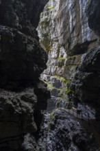 Breitach flows through gorge, stream, Schrattenkalk, visitors on footbridge, hiking trail,