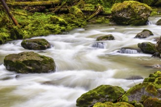 Breitach flows through stream bed with stones, stream, Schrattenkalk, Breitachklamm gorge,