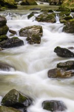 Breitach flows through stream bed with stones, stream, Schrattenkalk, Breitachklamm gorge,