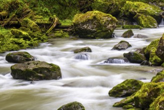 Breitach flows through stream bed with stones, stream, Schrattenkalk, Breitachklamm gorge,