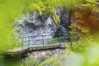 Hiking trail through the gorge, footbridge, coloured foliage, Schrattenkalk, Breitachklamm,