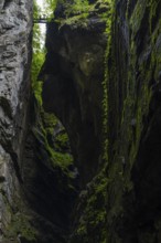Small bridge leads over the gorge, hiking trail, visitor, Breitachklamm, Oberstdorf, Allgäu Alps,