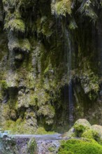 Sintered rock overgrown with mosses, Hinang waterfalls, gorge, rock, limestone, Hinang, Fischen,