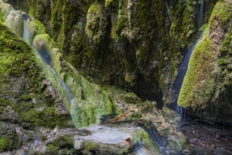 Sintered rock overgrown with mosses, Hinang waterfalls, gorge, rock, limestone, Hinang, Fischen,