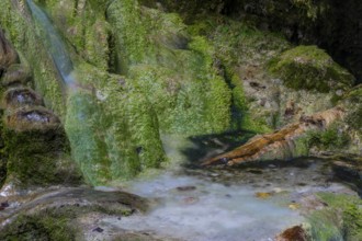 Sinterstein overgrown with mosses, Hinanger waterfalls, gorge, rock, limestone, Hinang, Fischen,