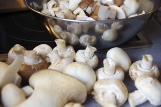 Mushrooms (Agaricus), kitchen, stainless steel bowl, food, preparation, mushrooms are prepared for