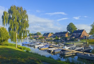 Small harbour with numerous boats on a sunny day, surrounded by trees and village houses,
