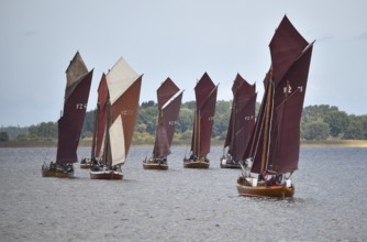 Zeesbootregatta on the Bodden near Bodstedt, Darß, Mecklenburg-Vorpommern, Germany