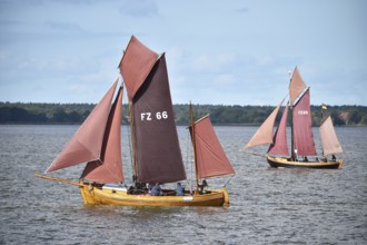 Zeesbootregatta on the Bodden near Bodstedt, Darß, Mecklenburg-Vorpommern, Germany