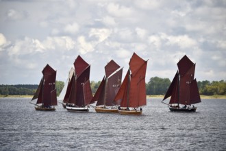 Zeesbootregatta on the Bodden near Bodstedt, Darß, Mecklenburg-Vorpommern, Germany
