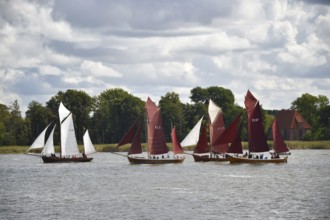 Zeesbootregatta on the Bodden near Bodstedt, Darß, Mecklenburg-Vorpommern, Germany