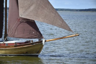 Zeesbootregatta on the Bodden near Bodstedt, Darß, Mecklenburg-Vorpommern, Germany