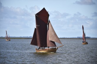 Zeesbootregatta on the Bodden near Bodstedt, Darß, Mecklenburg-Vorpommern, Germany