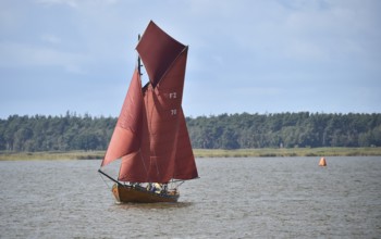 Zeesbootregatta on the Bodden near Bodstedt, Darß, Mecklenburg-Vorpommern, Germany