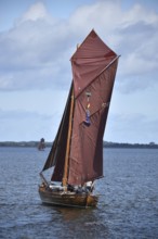 Zeesbootregatta on the Bodden near Bodstedt, Darß, Mecklenburg-Vorpommern, Germany